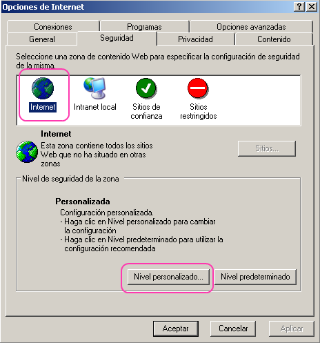 Captura pantalla Seguridad IE6